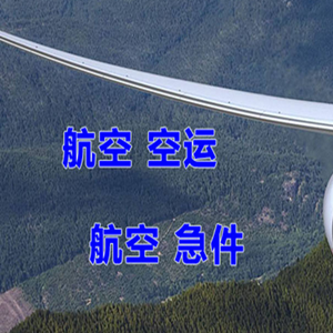 襄阳刘集航空托运快递-选东方航空和上海航空