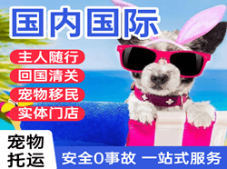 襄阳刘集航空托运国际宠物托运 【国